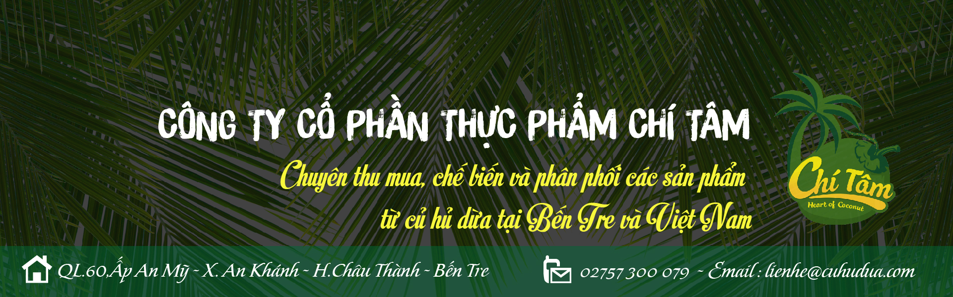 Củ hủ dừa Bến Tre