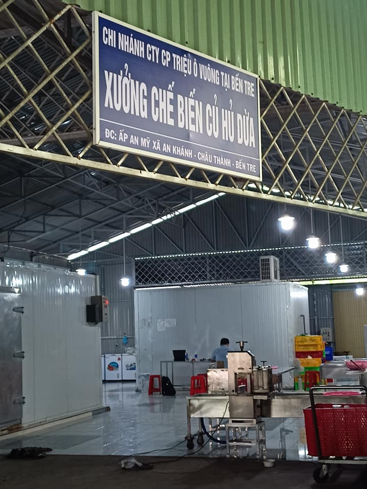 Củ hủ dừa Bến Tre