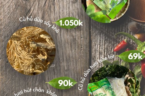 SẢN PHẨM TỪ CỦ HỦ DỪA