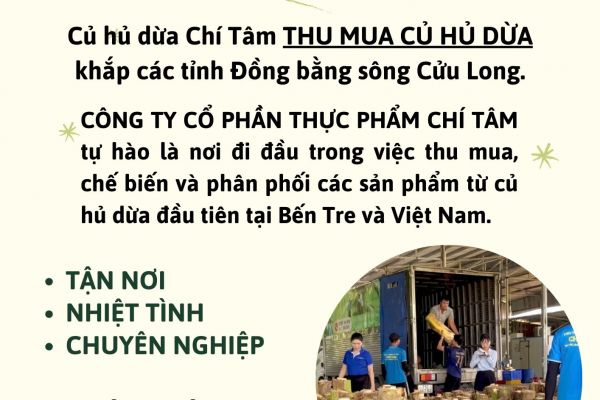 THU MUA CỦ HỦ DỪA