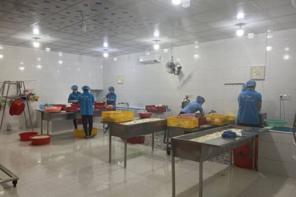 Giới thiệu hình ảnh tại nhà máy củ hủ dừa Chí Tâm