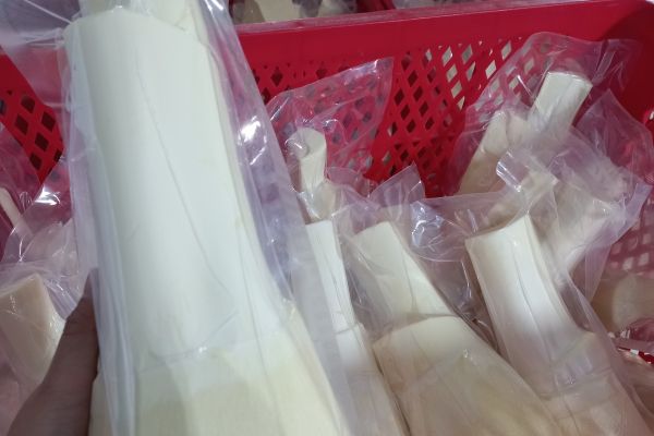 Bật mí công dụng và cách bảo quản củ hủ dừa đúng chuẩn