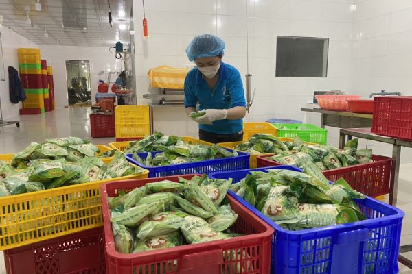 Giới thiệu quy trình chế biến củ hủ dừa tại Chí Tâm