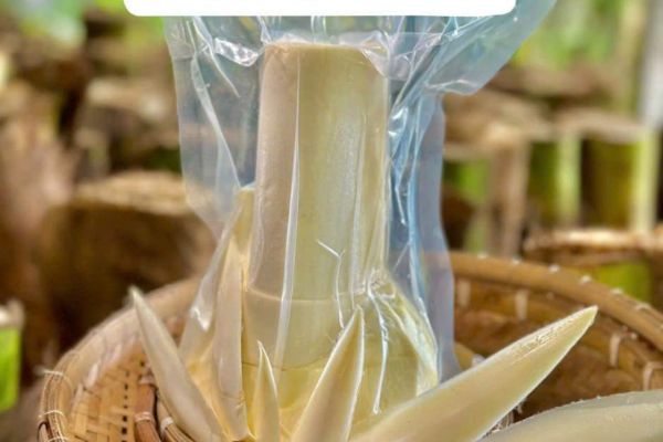 MÓN NGON CÙNG CỦ HỦ DỪA