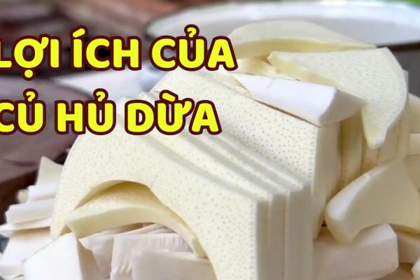 Lợi ích của củ hủ dừa đối với sức khỏe