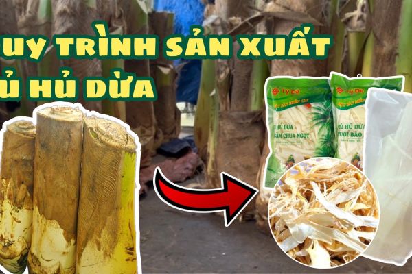 Qui trình sản xuất 