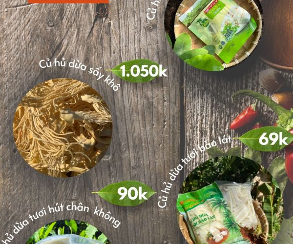 SẢN PHẨM TỪ CỦ HỦ DỪA