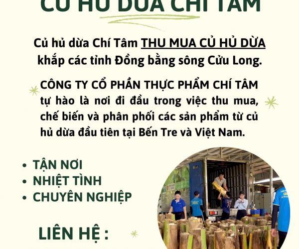 THU MUA CỦ HỦ DỪA