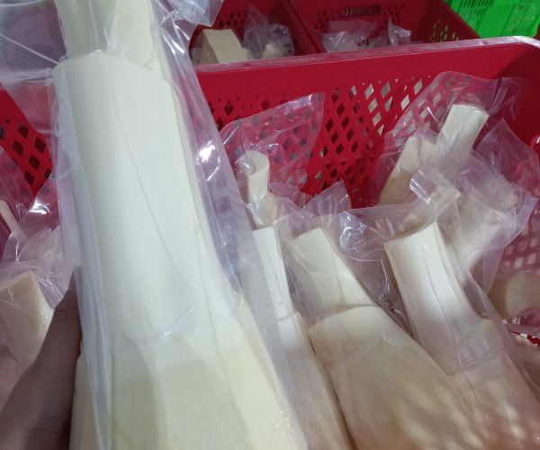 Bật mí công dụng và cách bảo quản củ hủ dừa đúng chuẩn