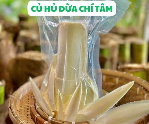 MÓN NGON CÙNG CỦ HỦ DỪA