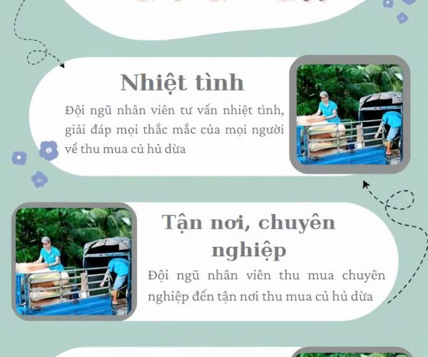 THU MUA CỦ HỦ DỪA
