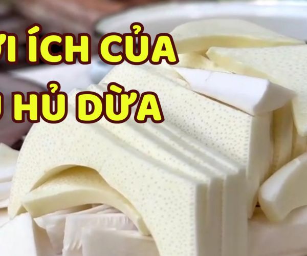 Lợi ích của củ hủ dừa đối với sức khỏe