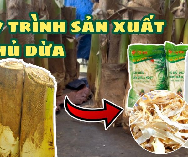 Qui trình sản xuất 