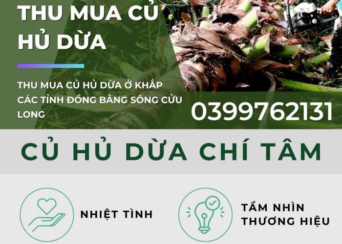 THU MUA CỦ HỦ DỪA