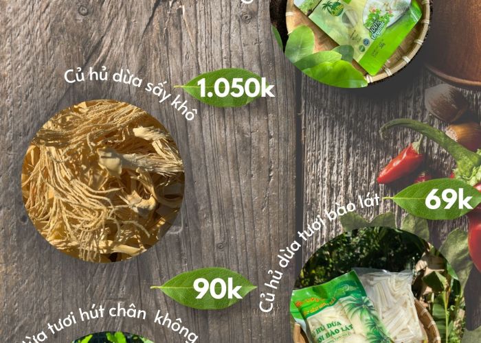 SẢN PHẨM TỪ CỦ HỦ DỪA