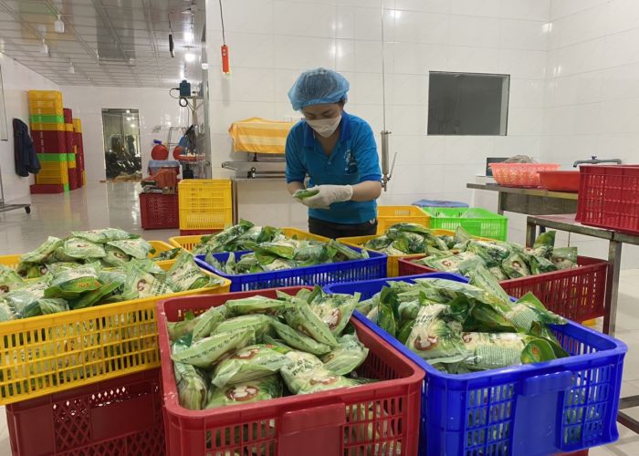 Giới thiệu quy trình chế biến củ hủ dừa tại Chí Tâm