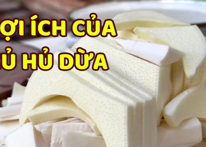 Lợi ích của củ hủ dừa đối với sức khỏe