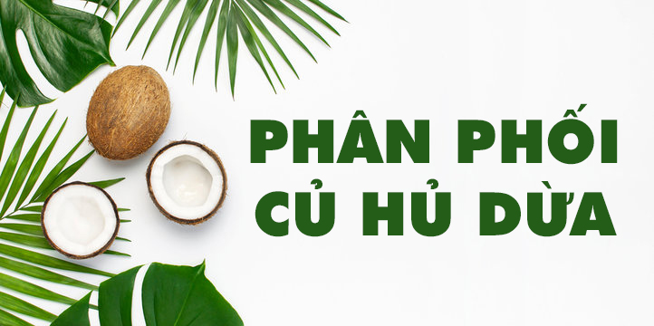 Phân Phối