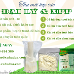 Củ hủ dừa tươi bào lát