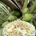 Củ hủ dừa sấy khô
