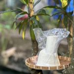 Củ hủ dừa tươi hút chân không