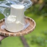 Củ hủ dừa tươi hút chân không