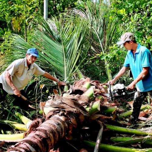 HOẠT ĐỘNG CỦA CƠ SỞ CHẾ BIẾN