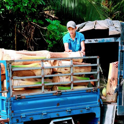 HOẠT ĐỘNG CỦA CƠ SỞ CHẾ BIẾN