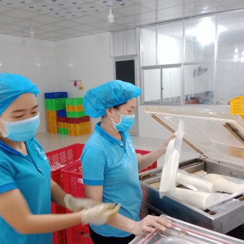 HOẠT ĐỘNG CỦA CƠ SỞ CHẾ BIẾN