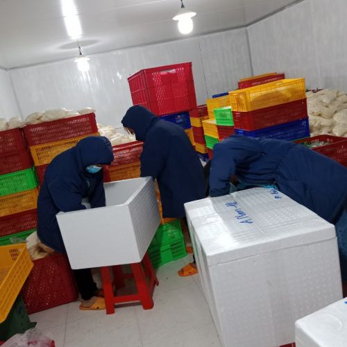 HOẠT ĐỘNG CỦA CƠ SỞ CHẾ BIẾN